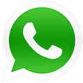 Contacto WhatsApp Gato Dulce